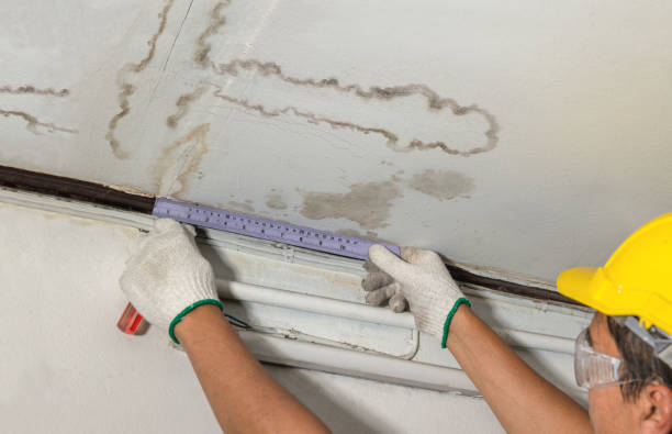 Reliable Water Damage contractor in Cove City, NC by Water Damage Irwin